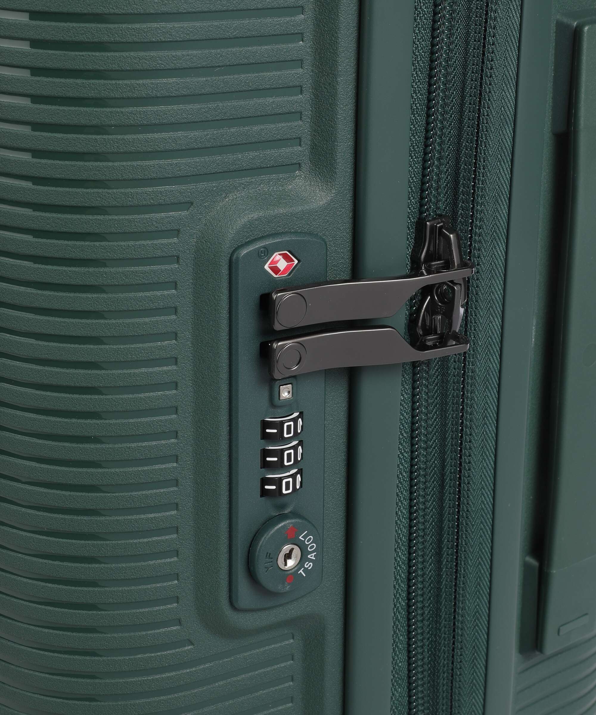 Miniatuur 3